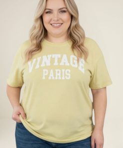 73013 - Remera Lavada Vintage Paris - Jersey Estampado