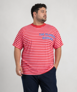 Alternative view of 39061 – Remera Island – Jersey Rayado Estampado
